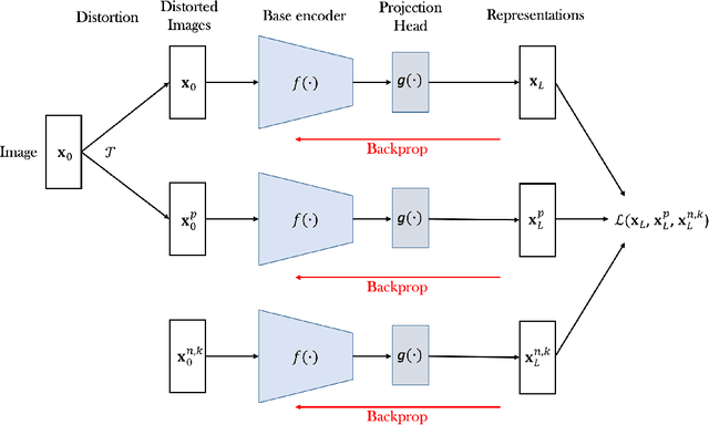 Figure 3 for Biologically Plausible Training Mechanisms for Self-Supervised Learning in Deep Networks