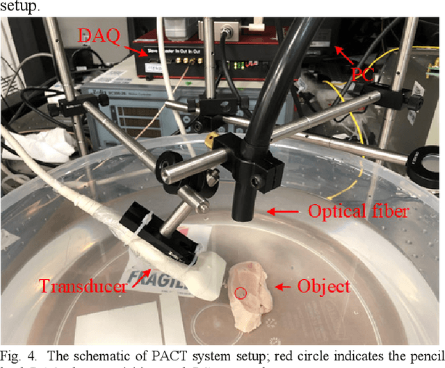 Figure 4 for Y-Net: A Hybrid Deep Learning Reconstruction Framework for Photoacoustic Imaging in vivo