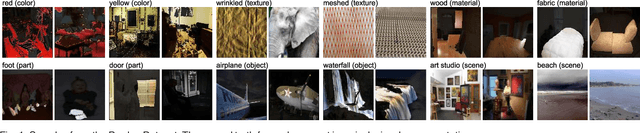Figure 1 for Interpreting Deep Visual Representations via Network Dissection