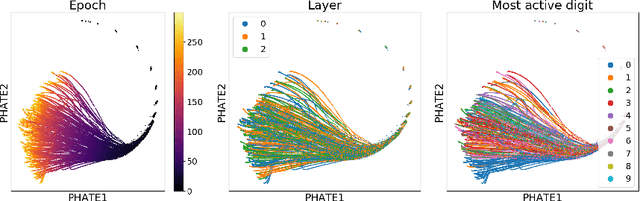 Figure 1 for Visualizing the PHATE of Neural Networks