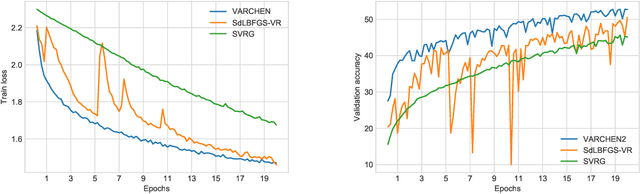 Figure 1 for Stochastic Damped L-BFGS with Controlled Norm of the Hessian Approximation