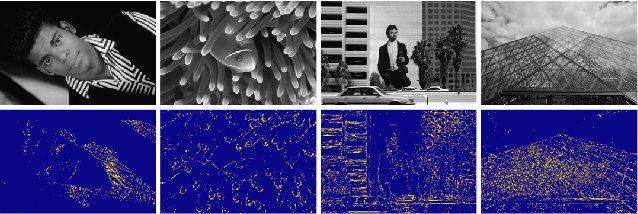 Figure 4 for Fully Convolutional Pixel Adaptive Image Denoiser