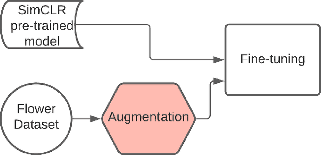Figure 1 for Semi-Supervising Learning, Transfer Learning, and Knowledge Distillation with SimCLR