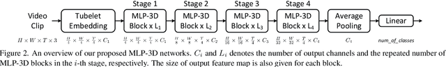 Figure 3 for MLP-3D: A MLP-like 3D Architecture with Grouped Time Mixing