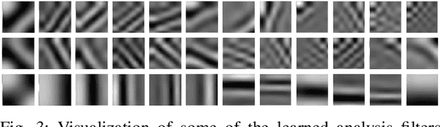 Figure 4 for Learning Hybrid Sparsity Prior for Image Restoration: Where Deep Learning Meets Sparse Coding