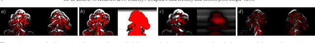 Figure 1 for Coupled Fluid Density and Motion from Single Views