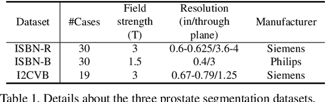 Figure 2 for DualNorm-UNet: Incorporating Global and Local Statistics for Robust Medical Image Segmentation