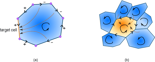 Figure 3 for Cell Complex Neural Networks