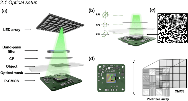 Figure 1 for Ptychographic lens-less polarization microscopy