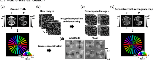 Figure 3 for Ptychographic lens-less polarization microscopy