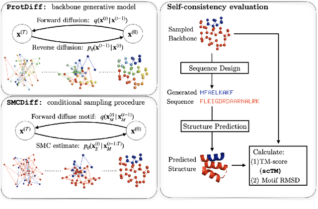 Figure 1 for Diffusion probabilistic modeling of protein backbones in 3D for the motif-scaffolding problem
