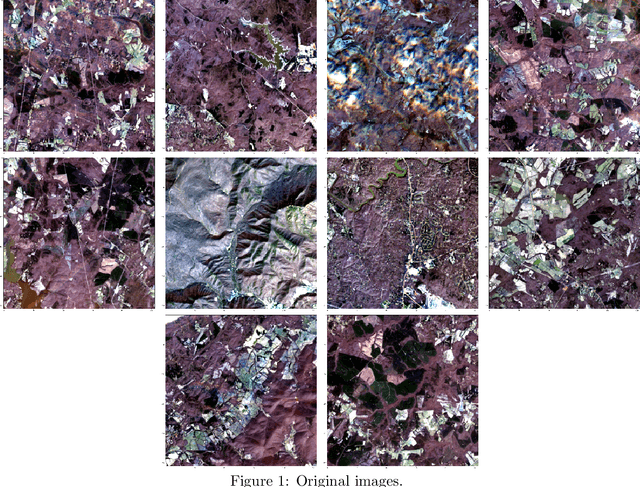 Figure 1 for Riesz-Quincunx-UNet Variational Auto-Encoder for Satellite Image Denoising