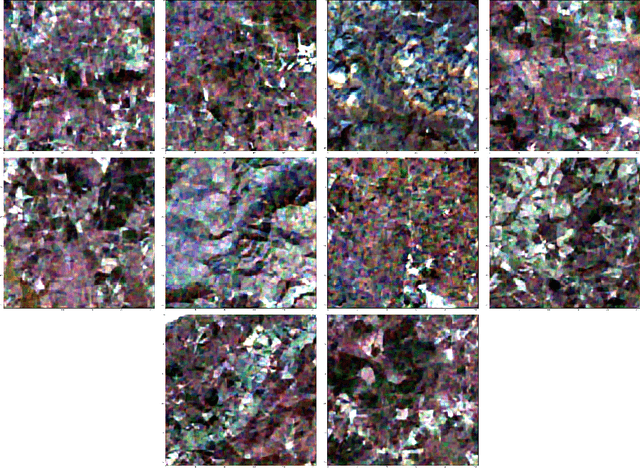 Figure 3 for Riesz-Quincunx-UNet Variational Auto-Encoder for Satellite Image Denoising