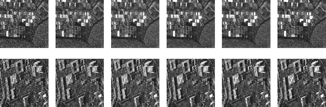 Figure 4 for NeighCNN: A CNN based SAR Speckle Reduction using Feature preserving Loss Function