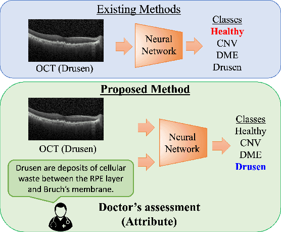 Figure 1 for Multi-Modal Learning Using Physicians Diagnostics for Optical Coherence Tomography Classification