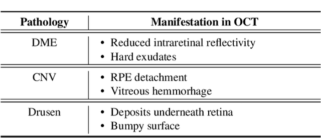 Figure 2 for Multi-Modal Learning Using Physicians Diagnostics for Optical Coherence Tomography Classification