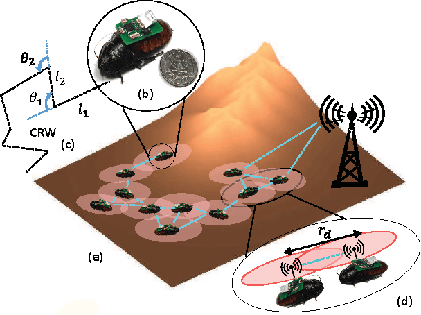 Figure 1 for Geometric Learning and Topological Inference with Biobotic Networks: Convergence Analysis