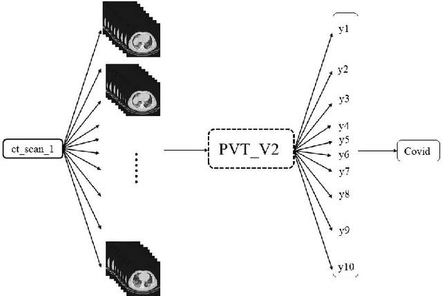 Figure 1 for PVT-COV19D: Pyramid Vision Transformer for COVID-19 Diagnosis