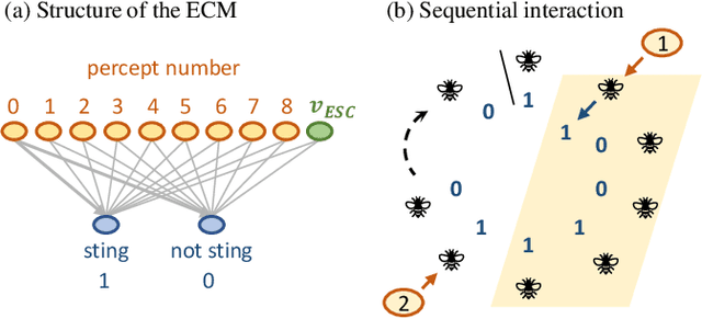 Figure 1 for Collective defense of honeybee colonies: experimental results and theoretical modeling