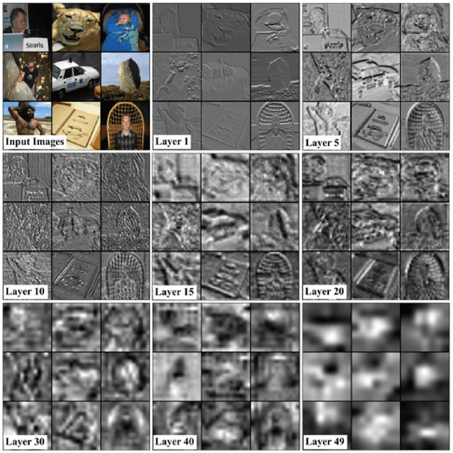 Figure 1 for DeepFeat: A Bottom Up and Top Down Saliency Model Based on Deep Features of Convolutional Neural Nets