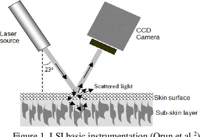 Figure 1 for Supervised laser-speckle image sampling of skin tissue to detect very early stage of diabetes by its effects on skin subcellular properties