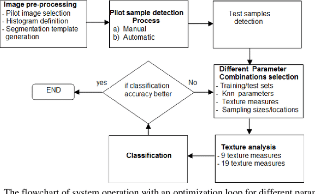 Figure 3 for Supervised laser-speckle image sampling of skin tissue to detect very early stage of diabetes by its effects on skin subcellular properties