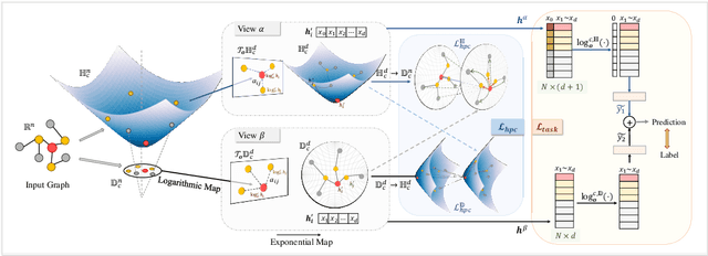 Figure 1 for Enhancing Hyperbolic Graph Embeddings via Contrastive Learning