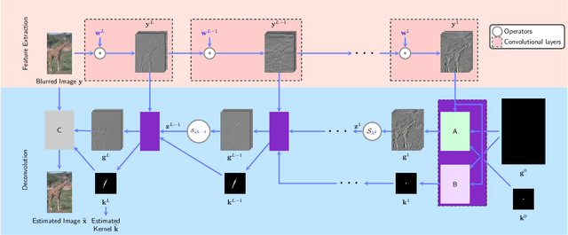 Figure 1 for An Algorithm Unrolling Approach to Deep Image Deblurring