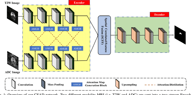 Figure 1 for Cross-Modal Self-Attention Distillation for Prostate Cancer Segmentation