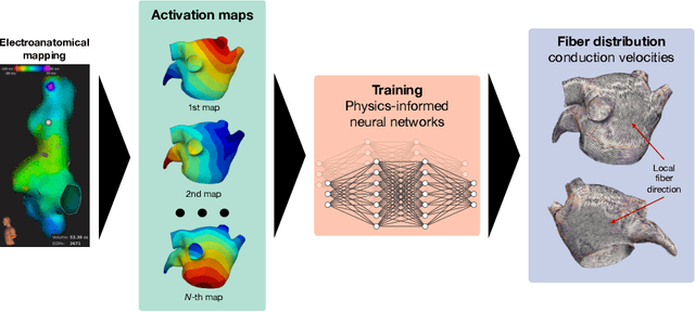 Figure 1 for Physics-informed neural networks to learn cardiac fiber orientation from multiple electroanatomical maps
