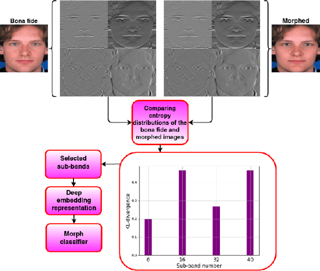 Figure 1 for Detection of Morphed Face Images Using Discriminative Wavelet Sub-bands