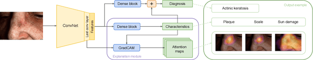 Figure 1 for DermX: an end-to-end framework for explainable automated dermatological diagnosis