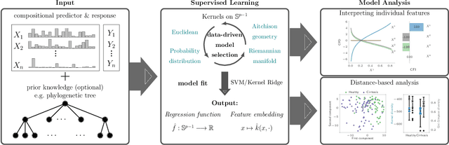 Figure 1 for Supervised Learning and Model Analysis with Compositional Data