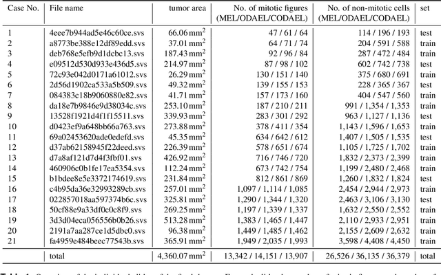 Figure 2 for Dogs as Model for Human Breast Cancer: A Completely Annotated Whole Slide Image Dataset