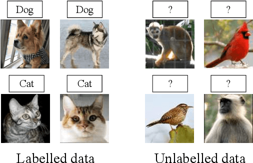 Figure 1 for AutoNovel: Automatically Discovering and Learning Novel Visual Categories