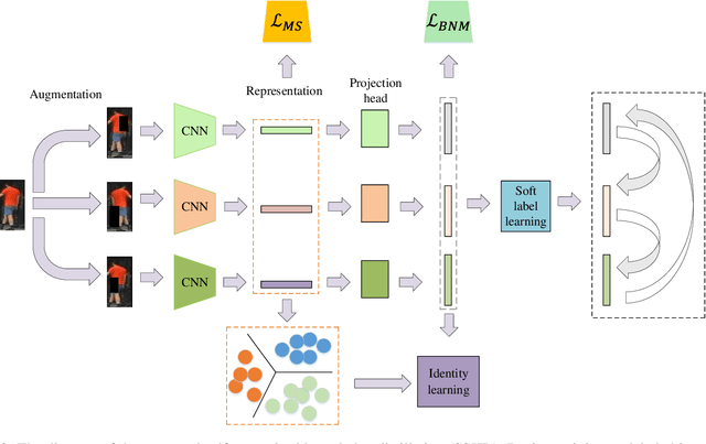 Figure 3 for SSKD: Self-Supervised Knowledge Distillation for Cross Domain Adaptive Person Re-Identification