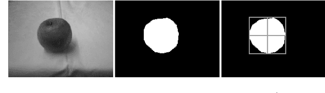 Figure 3 for Online Vision- and Action-Based Object Classification Using Both Symbolic and Subsymbolic Knowledge Representations