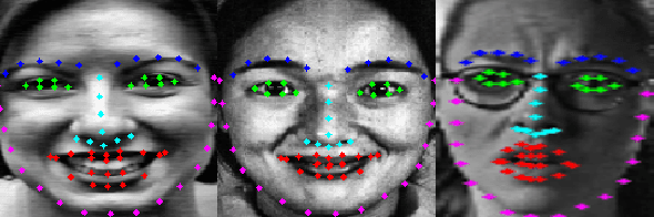 Figure 1 for Landmark-Aware and Part-based Ensemble Transfer Learning Network for Facial Expression Recognition from Static images