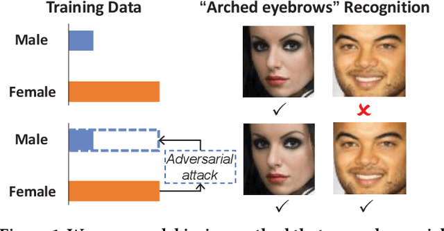 Figure 1 for Towards Accuracy-Fairness Paradox: Adversarial Example-based Data Augmentation for Visual Debiasing