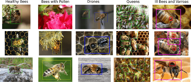 Figure 3 for Visual diagnosis of the Varroa destructor parasitic mite in honeybees using object detector techniques