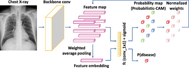 Figure 2 for Weakly Supervised Lesion Localization With Probabilistic-CAM Pooling