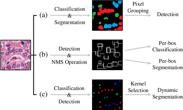 Figure 1 for PointNu-Net: Simultaneous Multi-tissue Histology Nuclei Segmentation and Classification in the Clinical Wild