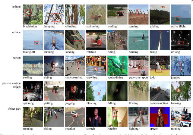 Figure 1 for GOT-10k: A Large High-Diversity Benchmark for Generic Object Tracking in the Wild