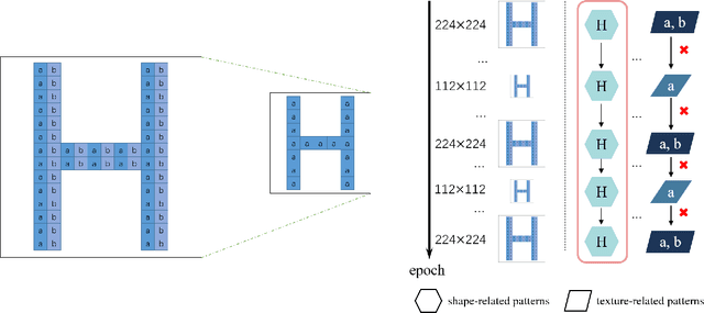 Figure 1 for Temporally Resolution Decrement: Utilizing the Shape Consistency for Higher Computational Efficiency