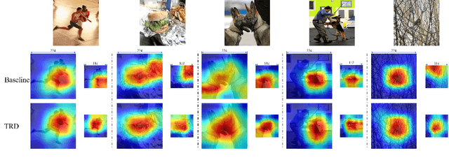 Figure 3 for Temporally Resolution Decrement: Utilizing the Shape Consistency for Higher Computational Efficiency
