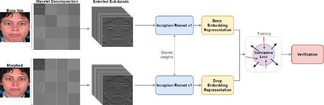 Figure 1 for Differential Morph Face Detection using Discriminative Wavelet Sub-bands