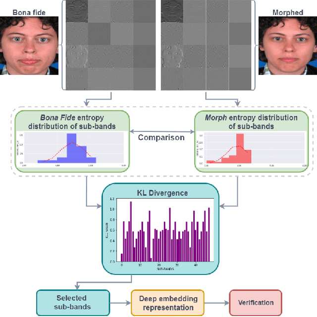 Figure 3 for Differential Morph Face Detection using Discriminative Wavelet Sub-bands