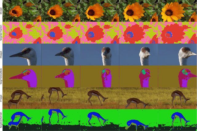 Figure 2 for Unsupervised Learning of Image Segmentation Based on Differentiable Feature Clustering