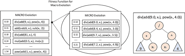 Figure 3 for Extracting Symbolic Models of Collective Behaviors with Graph Neural Networks and Macro-Micro Evolution