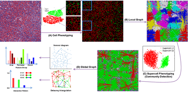 Figure 1 for Hierarchical Phenotyping and Graph Modeling of Spatial Architecture in Lymphoid Neoplasms
